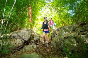 BIB: 
                            <button type="button" onclick="openModal(22089117)" class="btn btn-primary btn-sm float-right btn-popup" data-toggle="modal" data-target=".modal-high-quality">
                        <i class="fas fa-shopping-cart"></i> Add to Cart
                    </button>
                                            <button type="button" onclick="isThisMe(22089117, true)" class="btn btn-success btn-sm float-right btn-popup btn-isme hidden" data-toggle="tooltip" data-placement="bottom" title="นี่คือรูปของคุณใช่ไหม คลิกที่นี่เพื่อเอาเข้าอัลบั้ม">
                        <i class="fas fa-plus"></i> Add to album
                    </button>
                    <button type="button" onclick="isThisMe(22089117, false)" class="btn btn-warning btn-sm float-right btn-popup btn-isnotme hidden">
                        <i class="fas fa-ban"></i> Remove from album
                    </button>